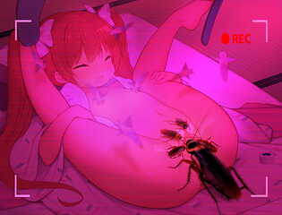 wt28ani
