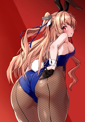 ジョンストンバニー_小鳥遊 啓(52852)
